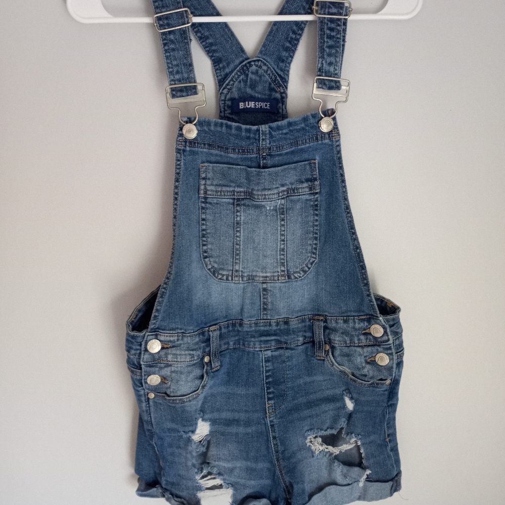 Blue Spice Overalls